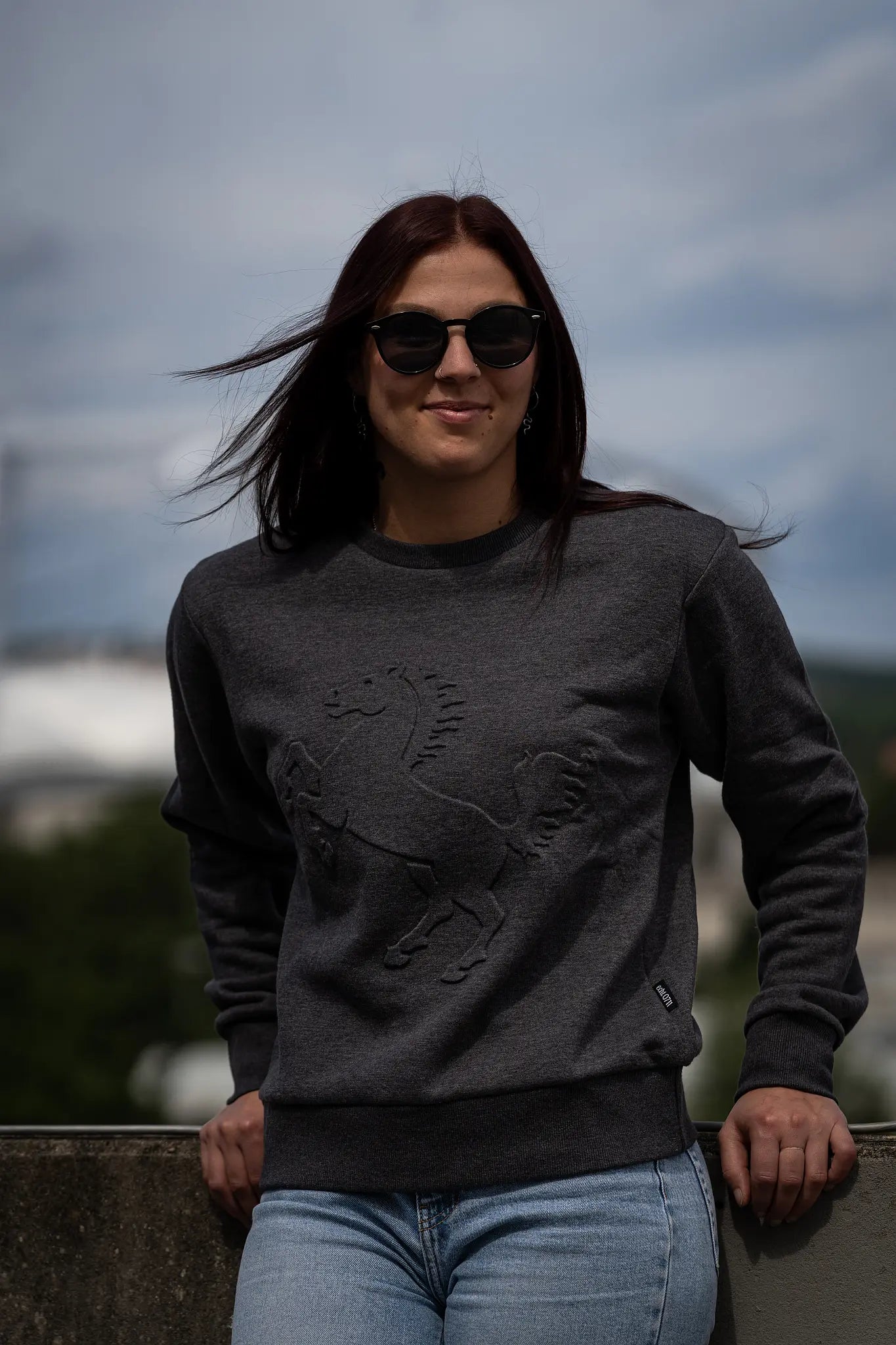 Sweatshirt "Rössle Prägung", dunkelgrau